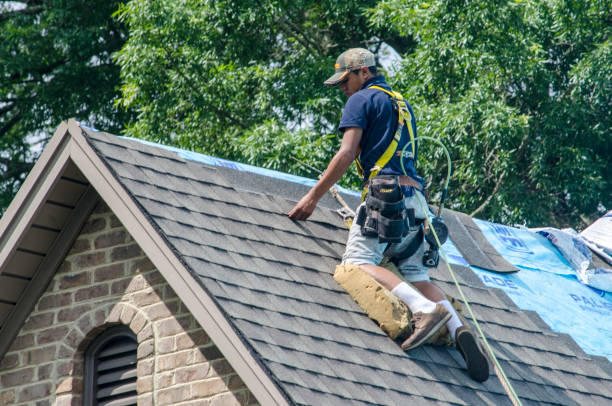 Best Roof Gutter Cleaning  in Hines, OR